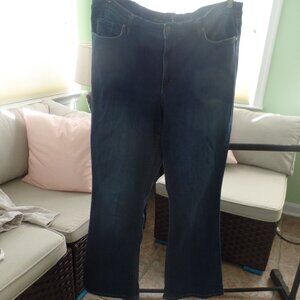 Gloria Vanderbilt "All Around Slimming Effect" Blue Jeans, Size 14